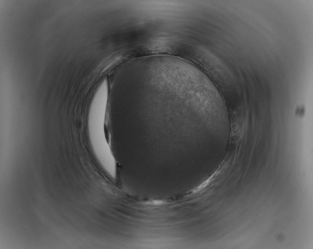 X0000098150124200805011416