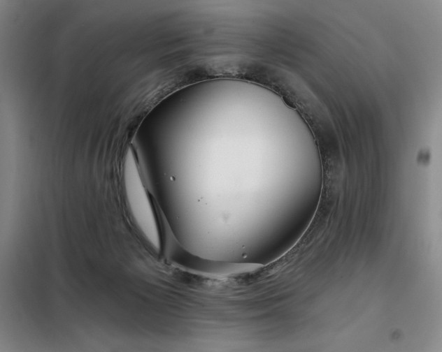 X0000098150125200805011416