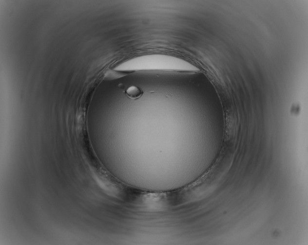 X0000098150126200805011416