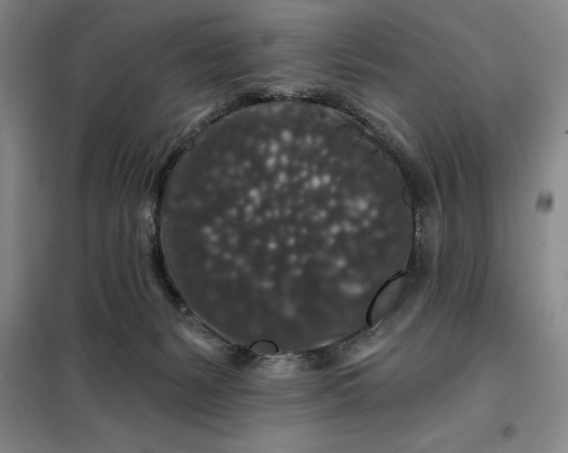 X0000098150127200805011416