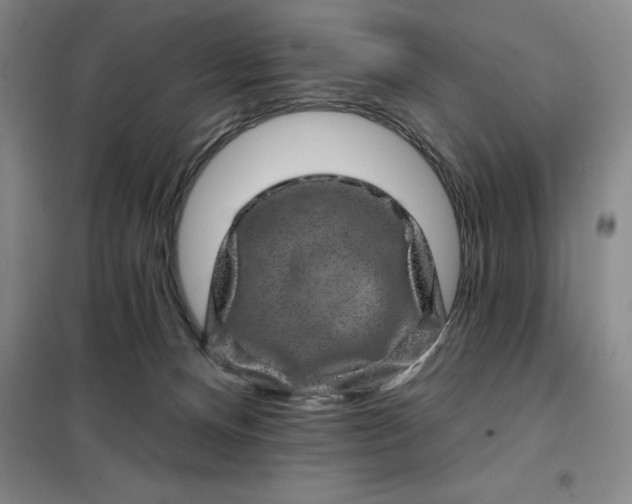 X0000098150128200805011416