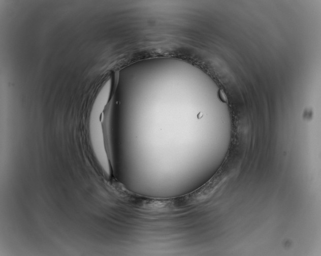 X0000098150129200805011416