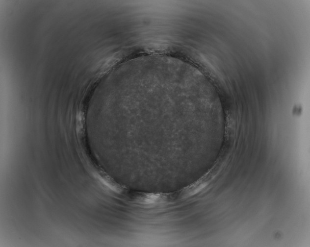 X0000098150130200805011416
