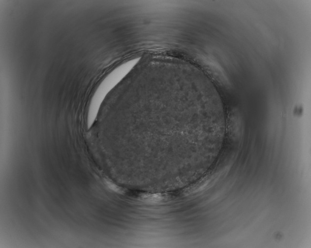 X0000098150131200805011416