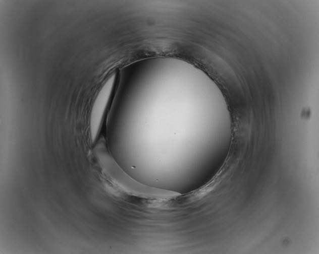 X0000098150132200805011416