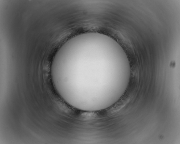 X0000098150133200805011416