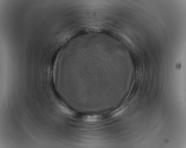 X0000098150134200805011416