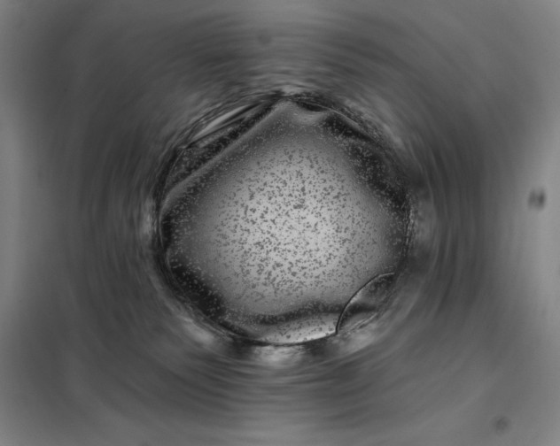 X0000098150135200805011416
