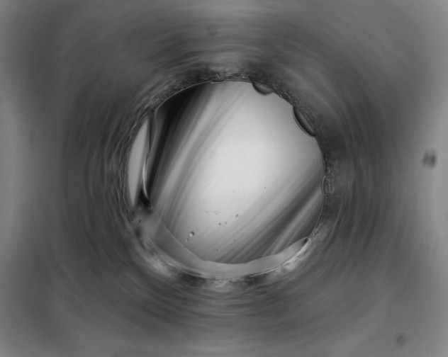 X0000098150136200805011416