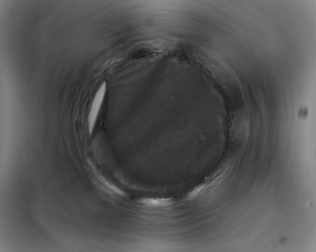 X0000098150137200805011416