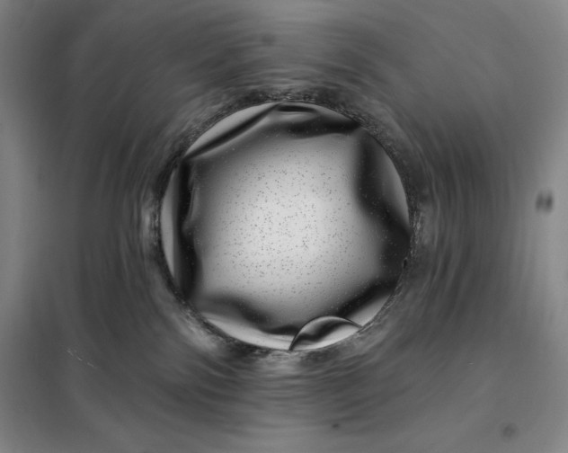 X0000098150138200805011416