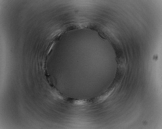 X0000098150139200805011416