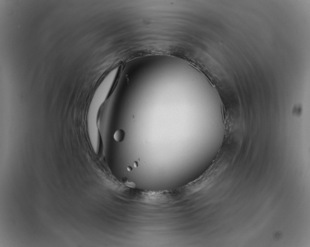 X0000098150141200805011416