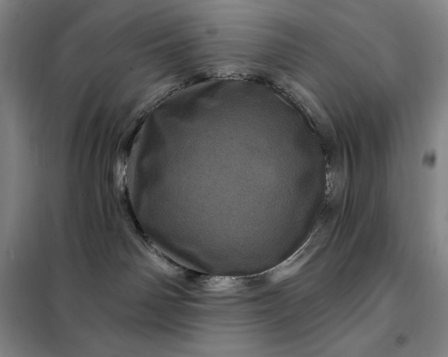 X0000098150142200805011416