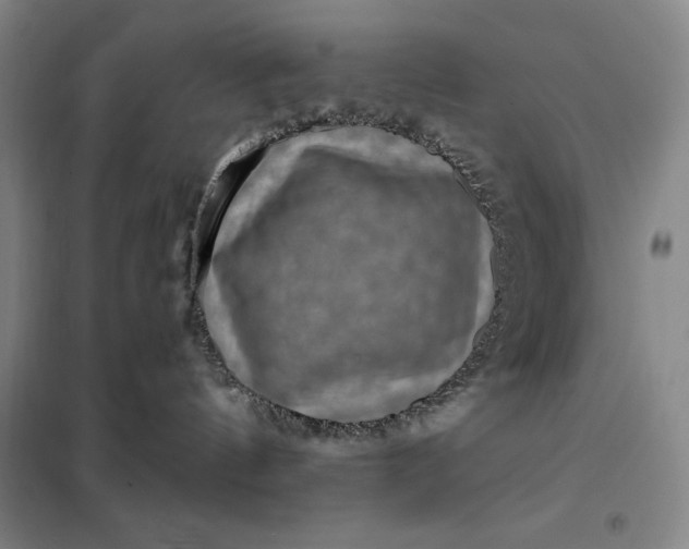 X0000098150144200805011416