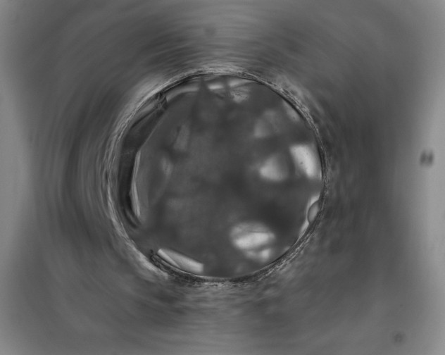 X0000098150145200805011415