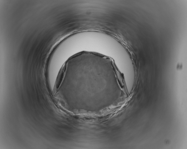 X0000098150146200805011415