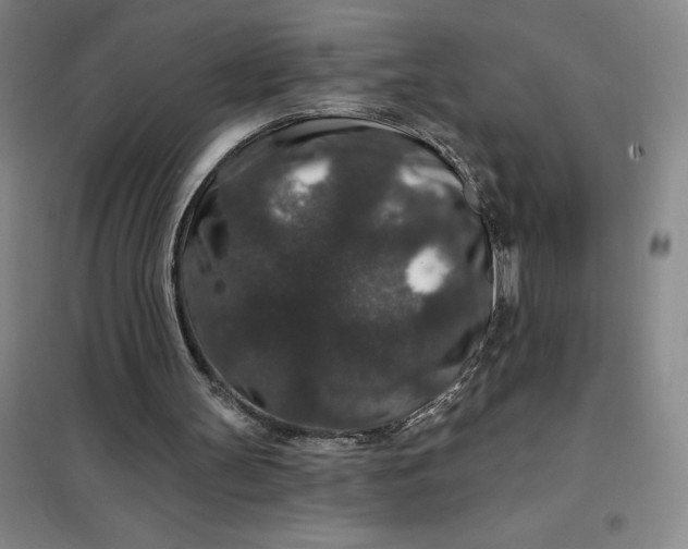 X0000098150147200805011415
