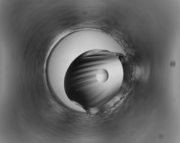 X0000098150148200805011415