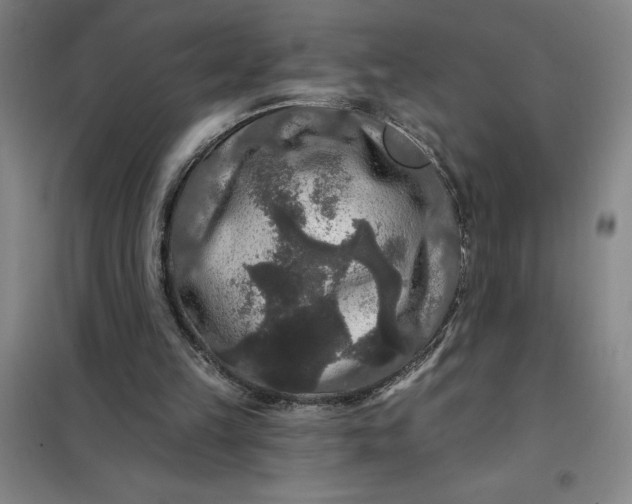 X0000098150149200805011415