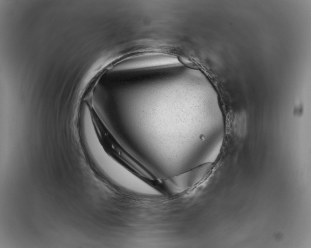 X0000098150150200805011415
