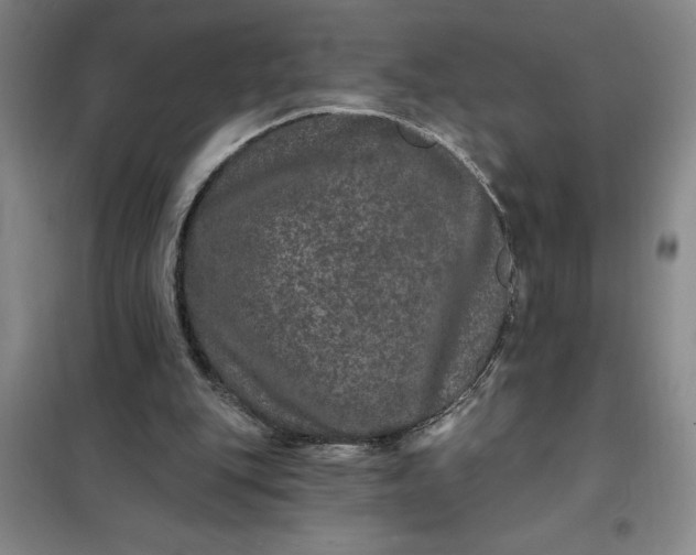 X0000098150151200805011415