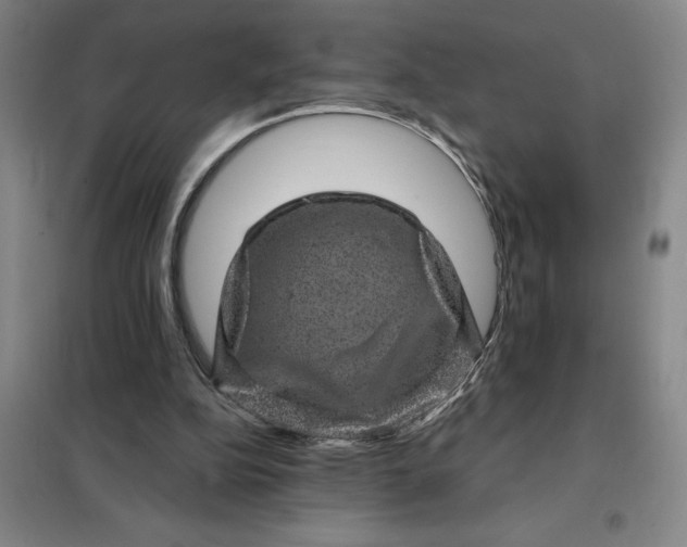 X0000098150152200805011415