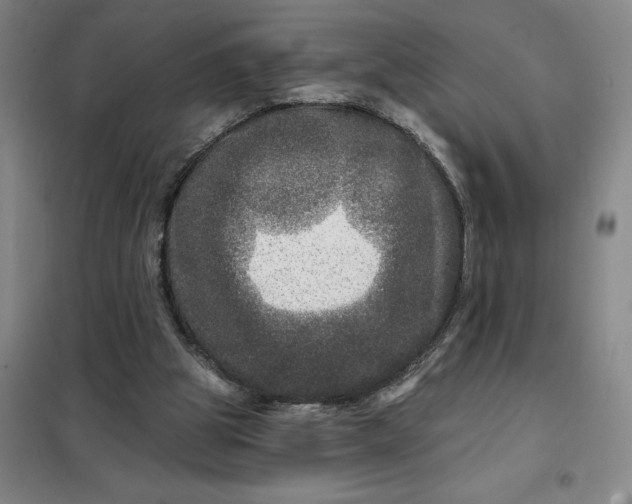 X0000098150153200805011415