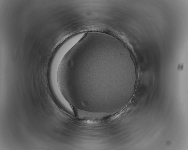 X0000098150154200805011415