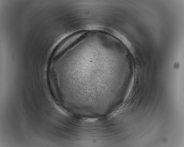 X0000098150155200805011415