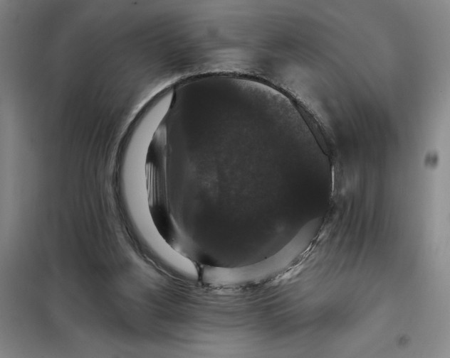X0000098150156200805011415