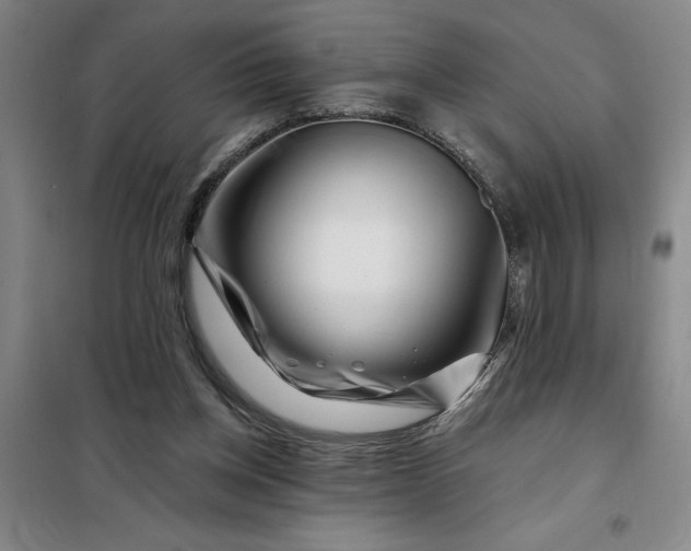 X0000098150158200805011415