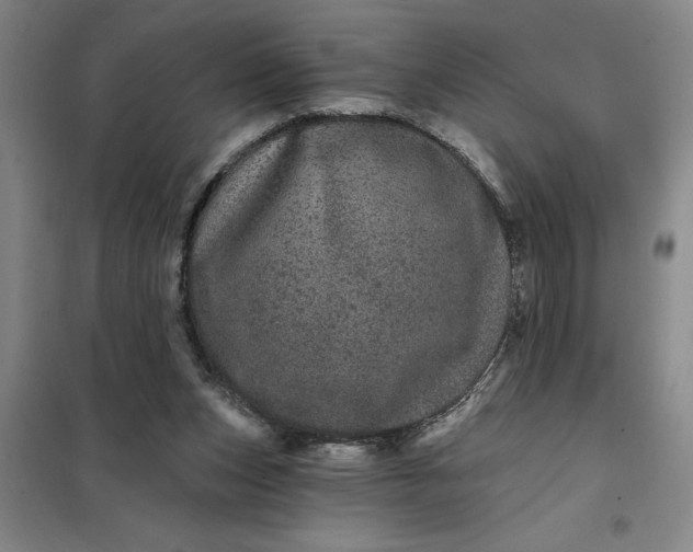 X0000098150159200805011416