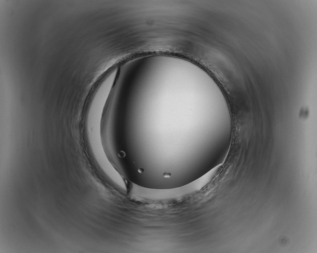 X0000098150160200805011416