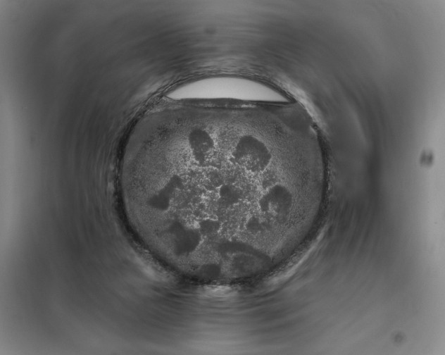 X0000098150161200805011416