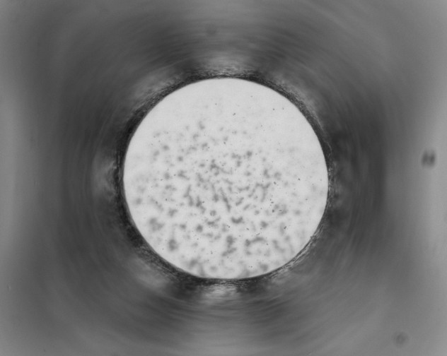 X0000098150162200805011416