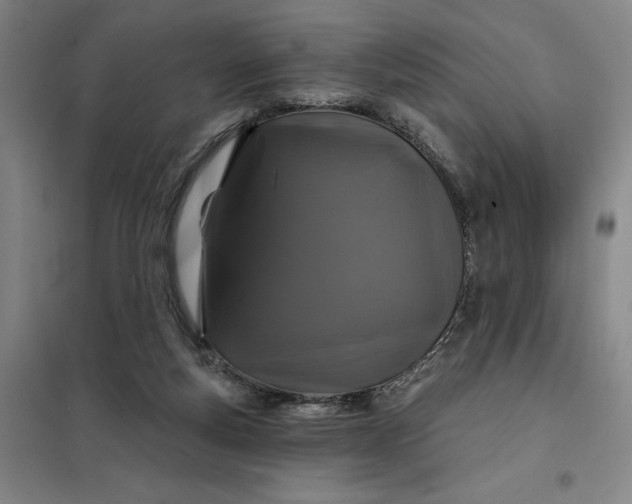 X0000098150163200805011416