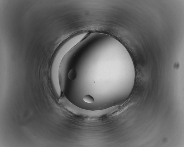 X0000098150164200805011416