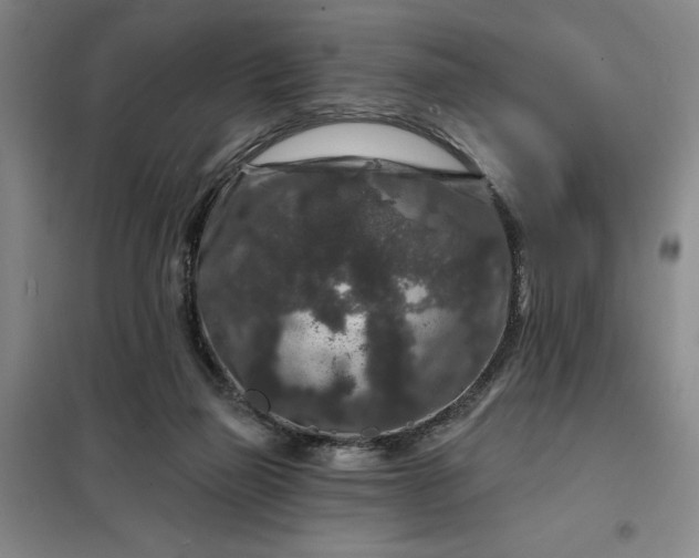 X0000098150165200805011416
