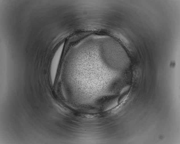 X0000098150166200805011416
