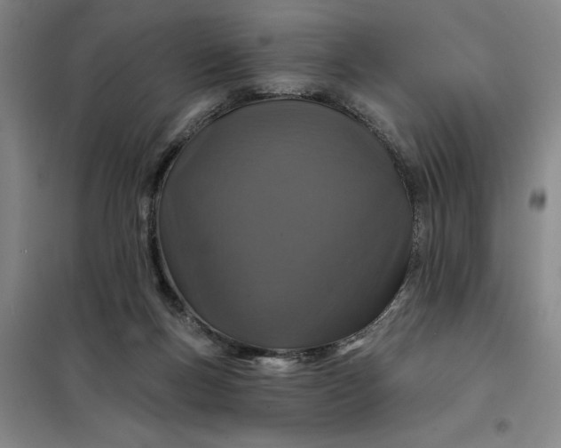 X0000098150167200805011416