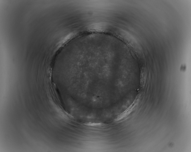 X0000098150168200805011416