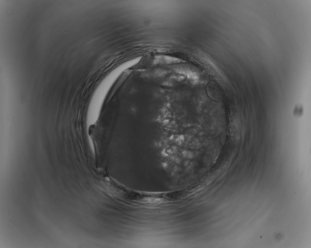 X0000098150169200805011416
