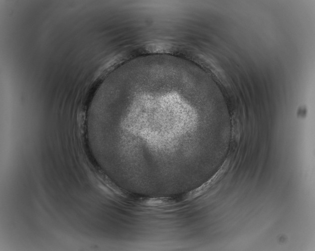 X0000098150171200805011416