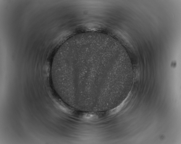 X0000098150174200805011416