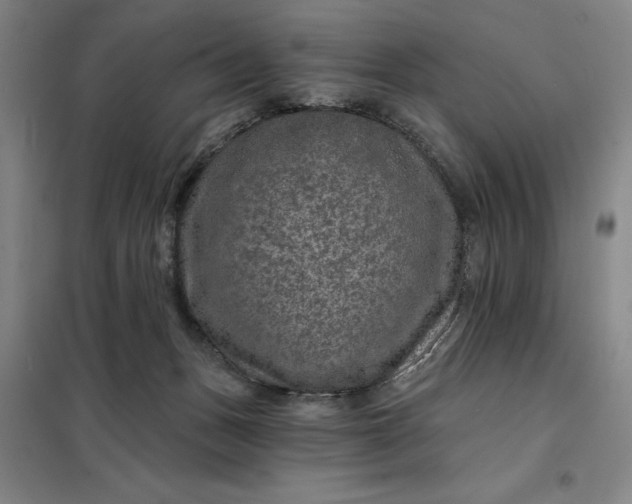 X0000098150175200805011416