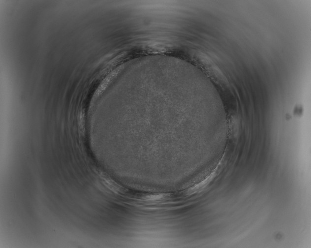 X0000098150178200805011416
