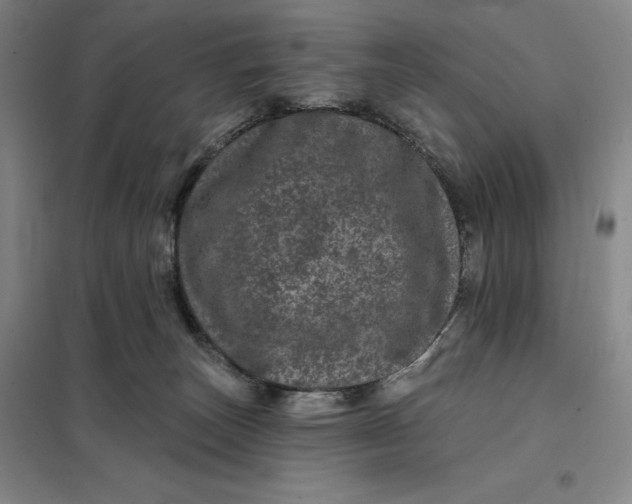 X0000098150179200805011416