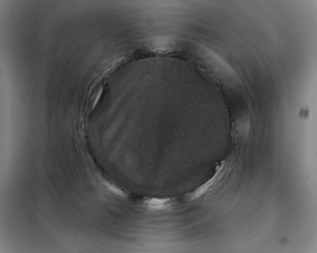 X0000098150180200805011416