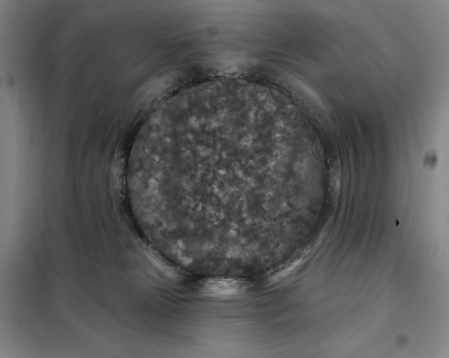 X0000098150181200805011416